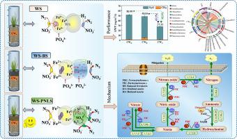 Waterworks sludge coupled with biochar and pyrite as wetland substrates for enhanced nitrogen removal and greenhouse gases mitigation: First study on synergistic mechanisms