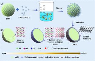 Enhancing structural integrity and performance of Li-Rich Mn-based cathode materials via multi-component surface engineering