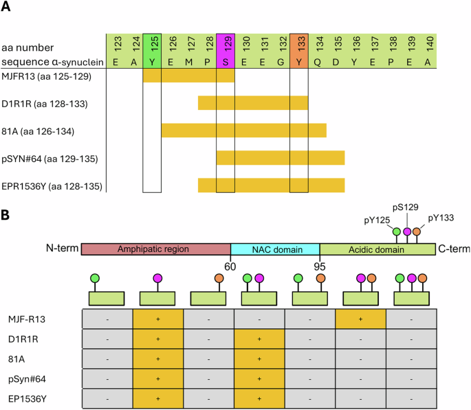 Phosphorylated α-synuclein in CSF and plasma does not reflect synucleinopathy