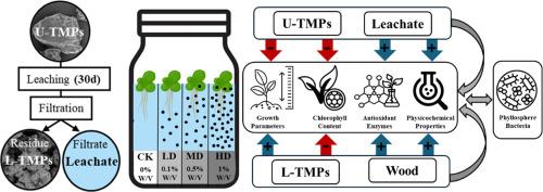 Dual acute effects of tire microplastics and their leachates on Spirodela polyrhiza and phyllosphere bacteria