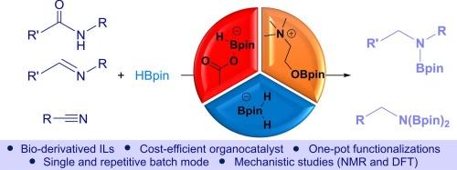 Organocatalytic hydroboration of imines, nitriles, and amides using choline-based ionic liquids