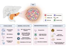 Classic versus innovative strategies for immuno-therapy in pancreatic cancer