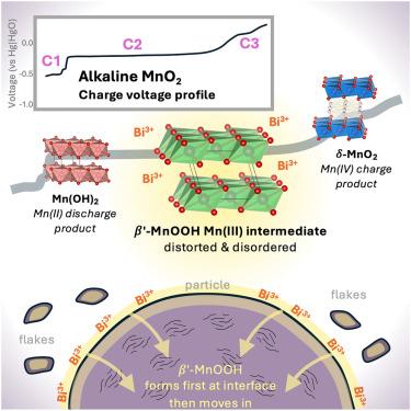 Dynamics of disordered intermediates during the two-electron alkaline MnO2 conversion reaction for grid-scale batteries