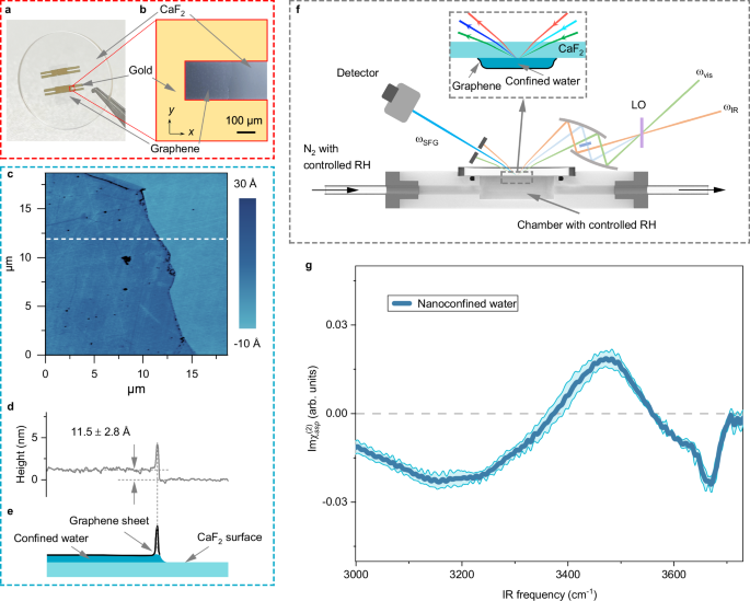 Interfaces govern the structure of angstrom-scale confined water solutions