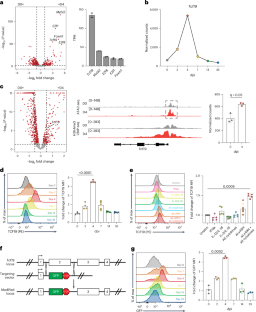 TCF19 drives a broad transcriptional program that potentiates optimal innate and adaptive functions of antiviral NK cells