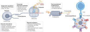 Defects in antigen processing and presentation: mechanisms, immune evasion and implications for cancer vaccine development