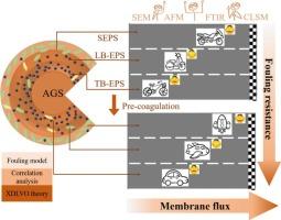 Characterization and mitigation of membrane fouling induced by extracellular polymeric substances in aerobic granular sludge membrane bioreactors