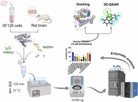 Structure-activity relationships of halogenated disinfectants as potent inhibitors of 5α-reductase type 1: potential impact on neurosteroid synthesis