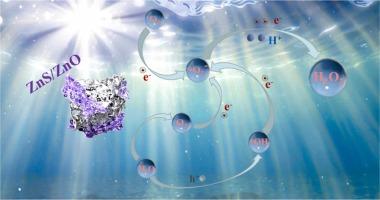 ZIF-8 derived ZnS/ZnO type-II heterojunction for efficient photocatalytic hydrogen peroxide production and norfloxacin degradation