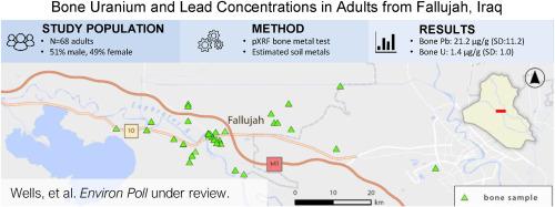 Bone uranium and lead concentrations in adults from Fallujah, Iraq