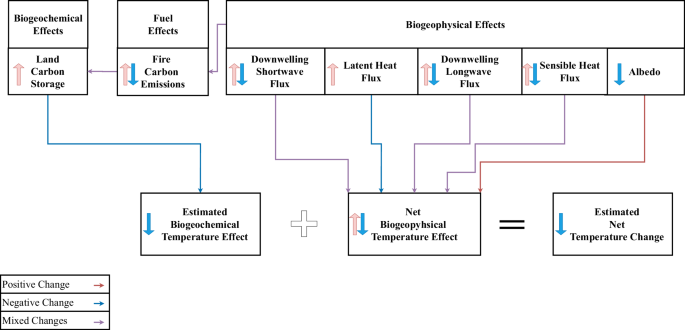 Climate effects of a future net forestation scenario in CMIP6 models