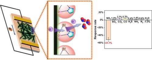 van der Waals heterojunction-based NO2 chemosensor via a synergistic halogen bond site