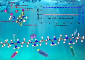 A Janus binder with electrophilic and nucleophilic dual centers for Ah-level four-electron aqueous Zn-I2 batteries