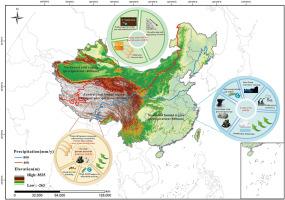 Spatial distribution of surface soil selenium and its influencing factors in China: A literature-based analysis