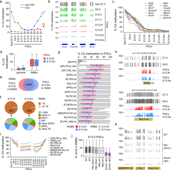 UHRF2 mediates resistance to DNA methylation reprogramming in primordial germ cells