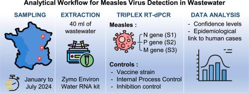 Tracking wild-type measles virus in wastewater using multiplex RT-dPCR, A novel tool for measles surveillance