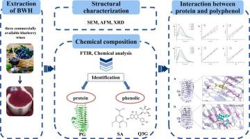 Morphological structure, chemical composition and formation mechanism in the haze of blueberry wine