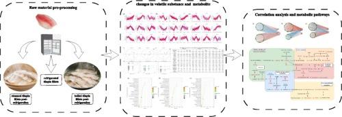 Insights into volatile substance changes of tilapia fillets before and after steaming and boiling during refrigeration based on metabolomics