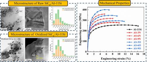 Strength and ductility synergy of SiC reinforced aluminum matrix composites through interface replacement strategy