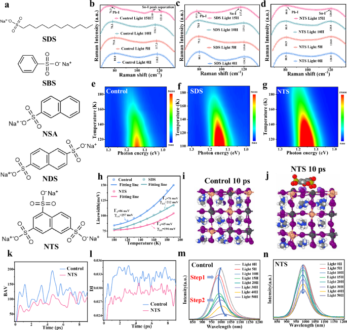 Lattice stabilization and strain homogenization in Sn-Pb bottom subcells enable stable all-perovskite tandems solar cells