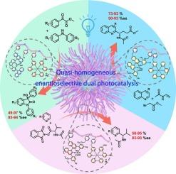 Quasi-homogeneous catalytic platform of efficient enantioselective dual photocatalysis: Brush-supported Ir complexes/chiral phosphoric acids for the economic synthesis of optically active molecules