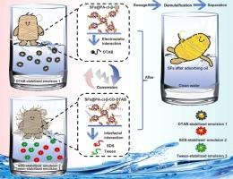 Molecularly Engineered Sisal Fibers with Programmable Interfaces for Efficient Separation of Complex Emulsions and Multipollutants