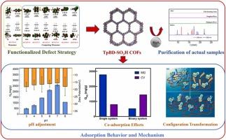 Nano-Size Core-Shell Magnetic SO₃H-Functionalized Covalent Organic Frameworks Via a Functional Defect Strategy for Cationic Dye Purification: Adsorption Behavior and Mechanism