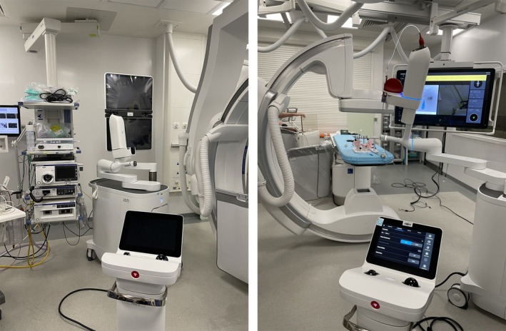Contemporary Concise Review 2024: New Techniques in Interventional Pulmonology.