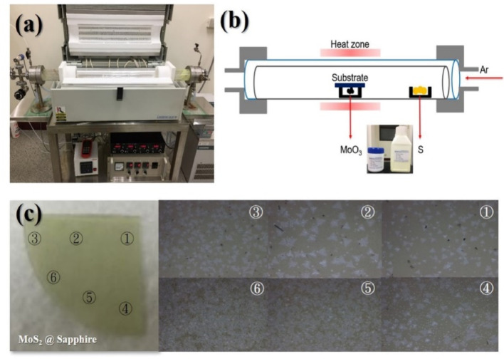 Investigation of 2H/1T/1T′ phase MoS2 optical nonlinearity