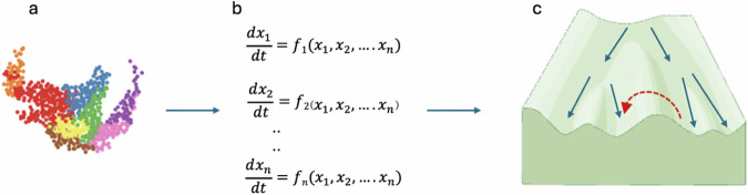 Dynamical systems theory as an organizing principle for single-cell biology.