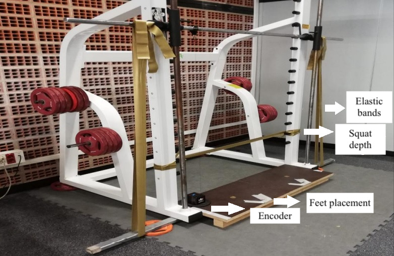 Psychological and Physical Predictors of Perceived Effort in Elastic Band Training: A Velocity-Based Approach.