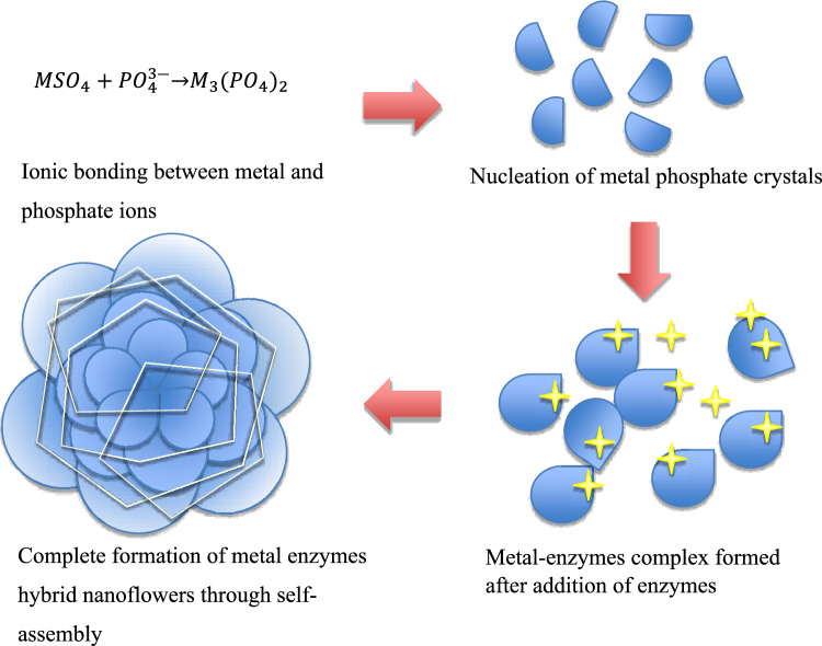 Effectiveness of polyethylene glycol and glutaraldehyde as enhancers for lipase-immobilized hybrid organic-inorganic nanoflowers.