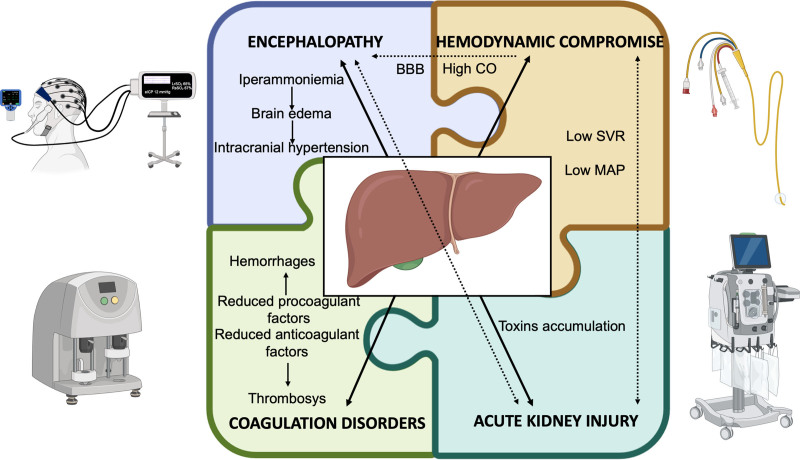 'Fulminant hepatic failure' anesthesiologic considerations.