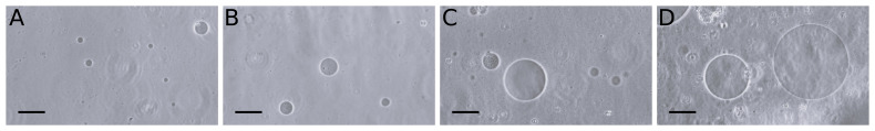 Dimensions, stability, and deformability of DOPC-cholesterol giant unilamellar vesicles formed by droplet transfer.