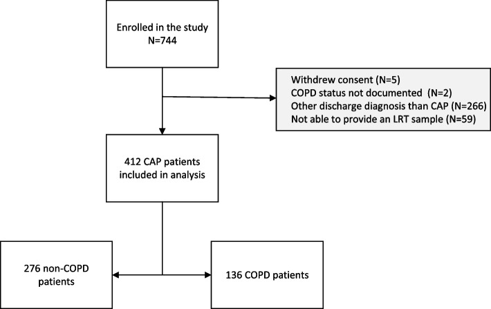 Microbial profiling of community-acquired pneumonia in patients with and without chronic obstructive pulmonary disease: a comprehensive molecular diagnostics study.