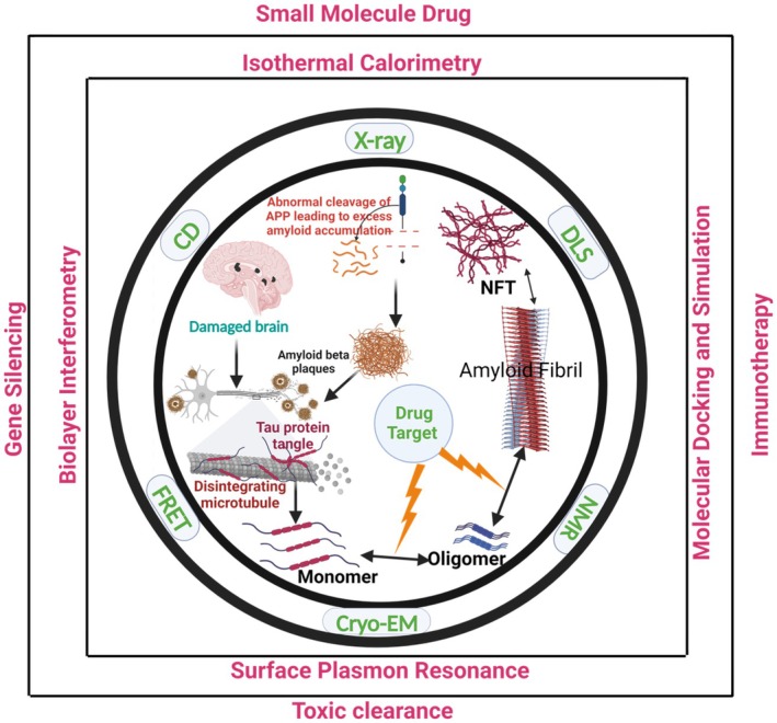 Protein aggregation and neurodegenerative disease: Structural outlook for the novel therapeutics.