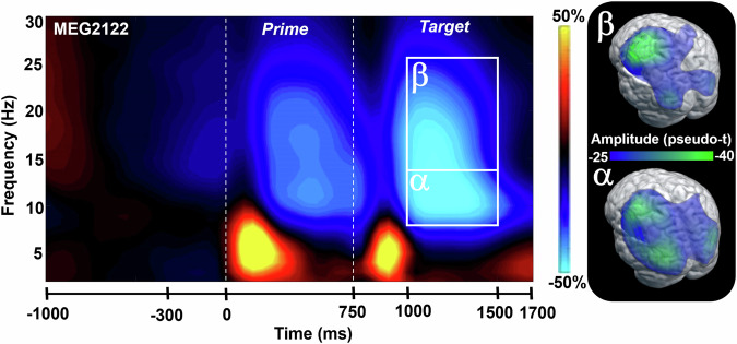 Age-related alterations in alpha and beta oscillations support preservation of semantic processing in healthy aging.