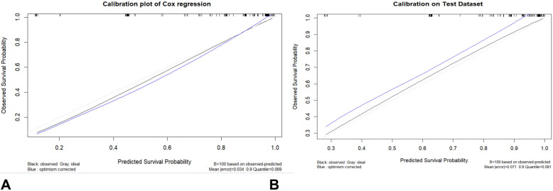 Dynamic nomogram for predicting long-term survival in patients with brain abscess.