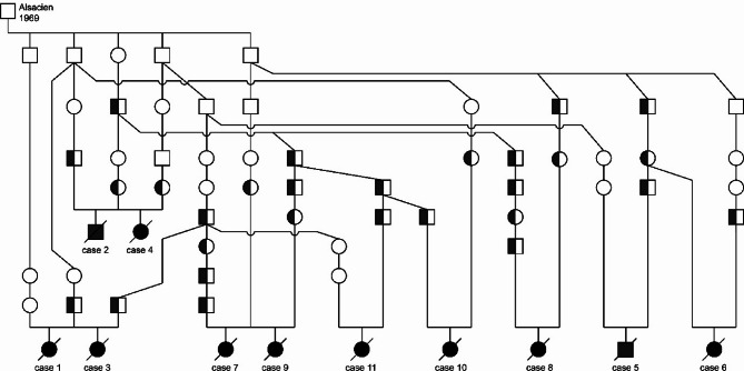 LMF1 frameshift deletion in Franches-Montagnes horses with hypertriglyceridemia-induced pancreatitis.