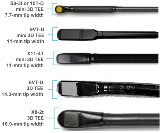 Mini 3D transesophageal probe: technical advances and clinical applications.