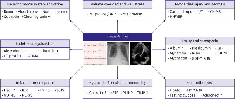 The Biomarker Galaxy: Big Endothelin-1 Joins the Expanding Universe of Heart Failure Prognostication.