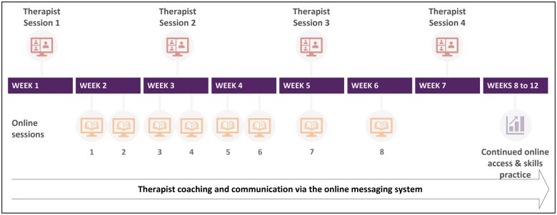 Design and implementation of online acceptance and commitment therapy with enhanced therapist support for chronic low back pain (ACT for PAIN).