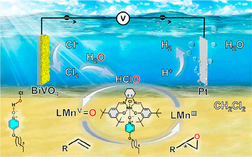 Photoelectrochemical Asymmetric Epoxidation of Alkenes with Water as an Oxygen Source in a Biphasic System