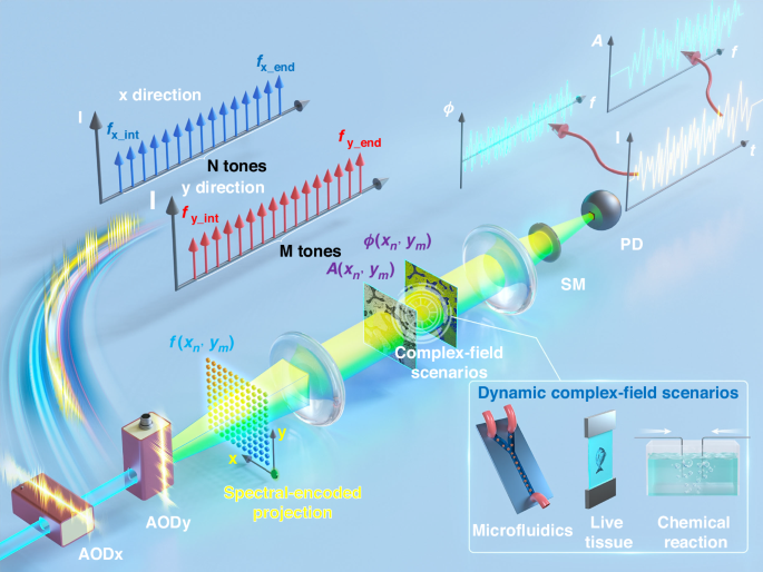 Ultrahigh-throughput single-pixel complex-field microscopy with frequency-comb acousto-optic coherent encoding (FACE)