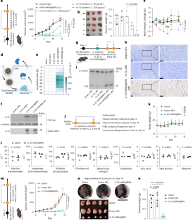 Systemic reprogramming of tumour immunity via IL-10-mRNA nanoparticles