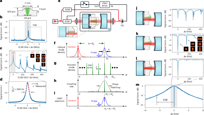 Optomechanical control of long-lived bulk acoustic phonons in the quantum regime