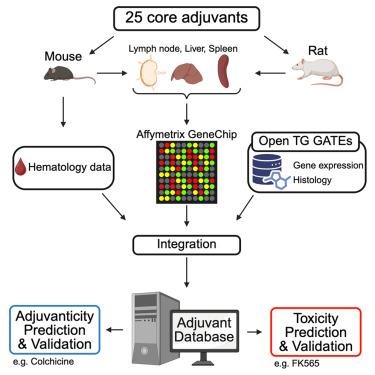 An adjuvant database for preclinical evaluation of vaccines and immunotherapeutics