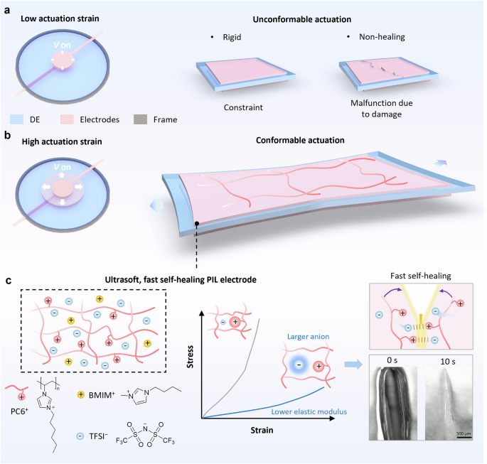 Ultrasoft and fast self-healing poly(ionic liquid) electrode for dielectric elastomer actuators