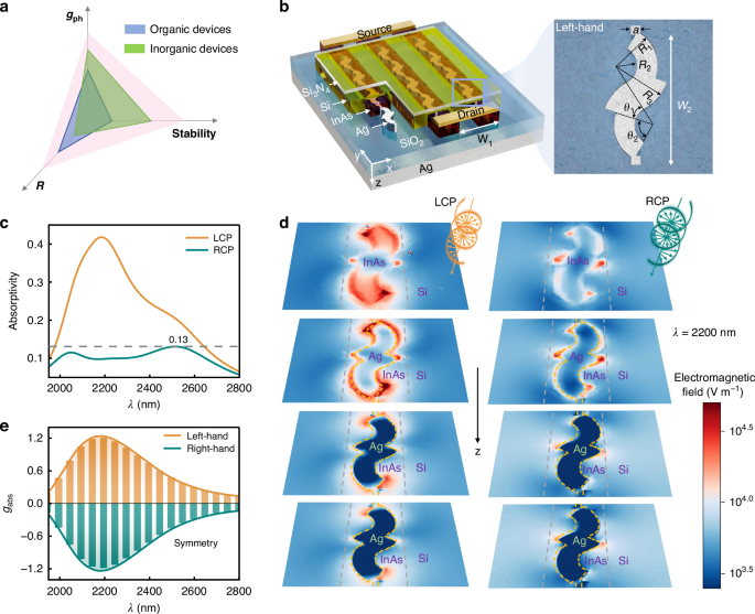 Electrical-gain-assisted circularly polarized photodetection based on chiral plasmonic metamaterials