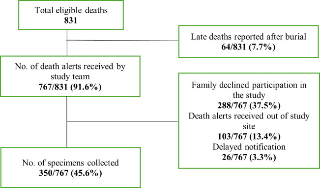 Evaluating the burden of respiratory tract infections among mortality cases in Karachi, Pakistan: a post-pandemic surveillance analysis.